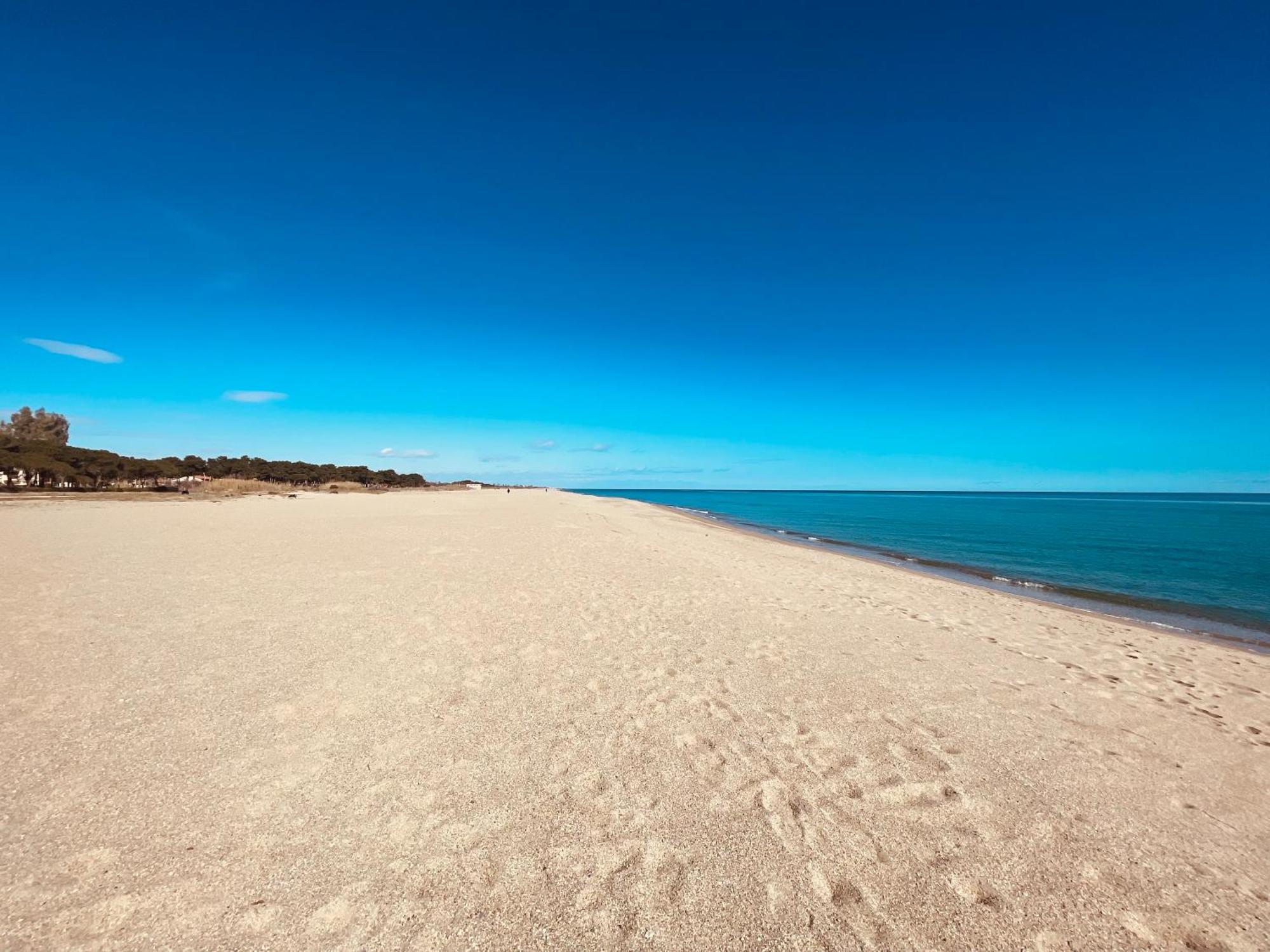 Appart Clim , Wifi, Plage 200 Metres Lejlighed Argelès-sur-Mer Eksteriør billede