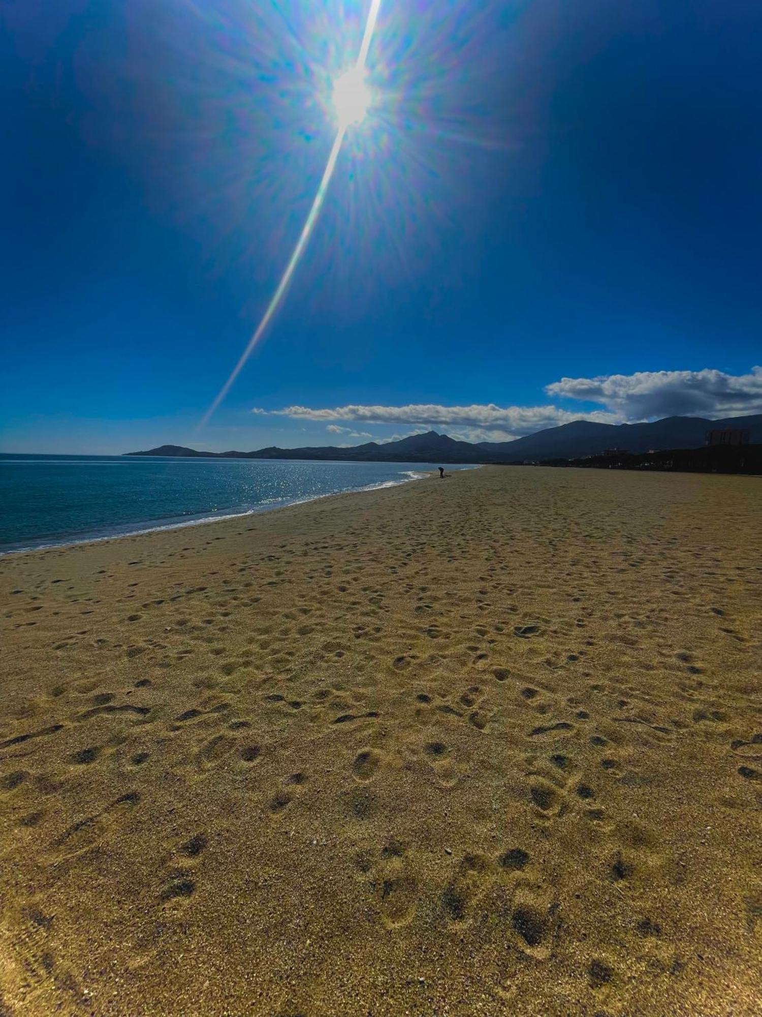 Appart Clim , Wifi, Plage 200 Metres Lejlighed Argelès-sur-Mer Eksteriør billede